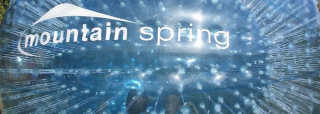 Their brilliant zorbing ball